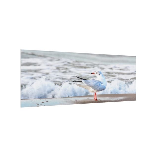 Paneles de vidrio para cocinas Seagull On The Beach In Front Of The Sea