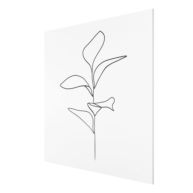 Cuadros de plantas Line Art Plant Leaves Black And White