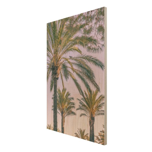 Cuadros de madera paisajes Palm Trees At Sunset