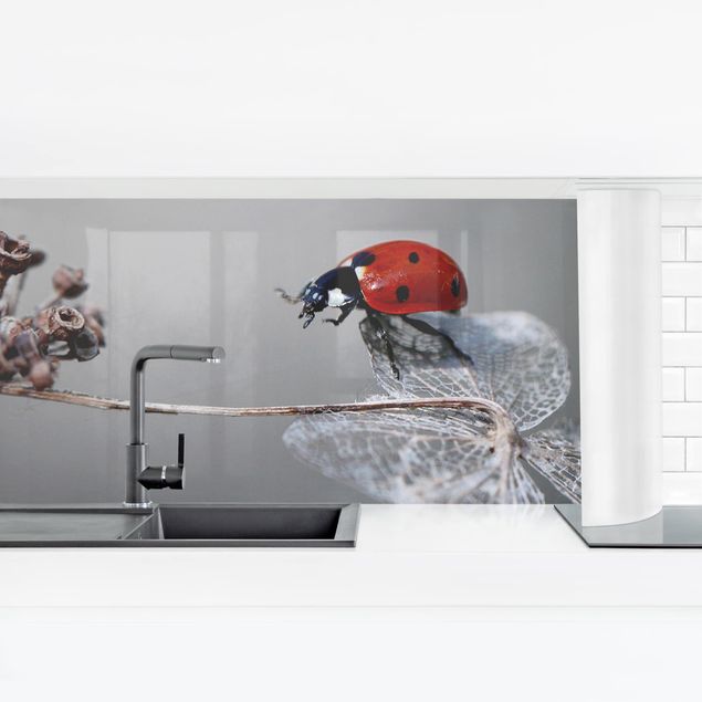 Salpicadero cocina Ladybird On Hydrangea