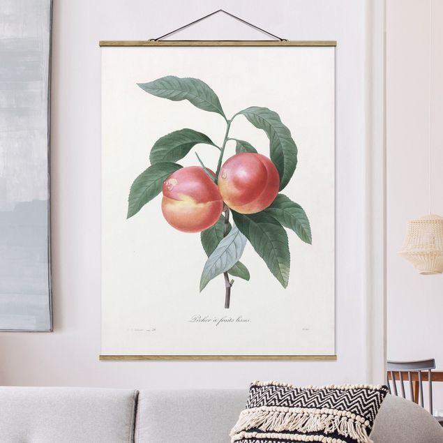 Decoración cocina Botany Vintage Illustration Peach
