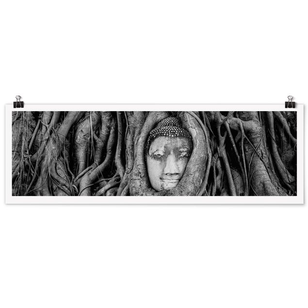 Cuadros plantas Buddha In Ayutthaya Lined From Tree Roots In Black And White
