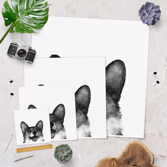 Cuadros Illustration Dog Corgi Black And White Painting