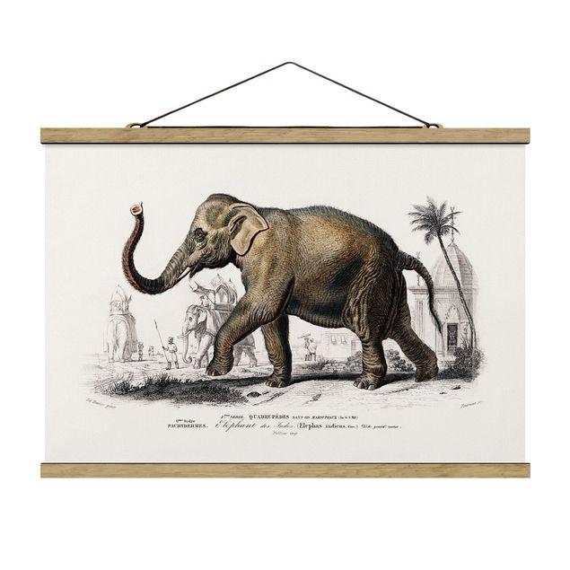 Cuadros paisajes naturaleza Vintage Board Elephant