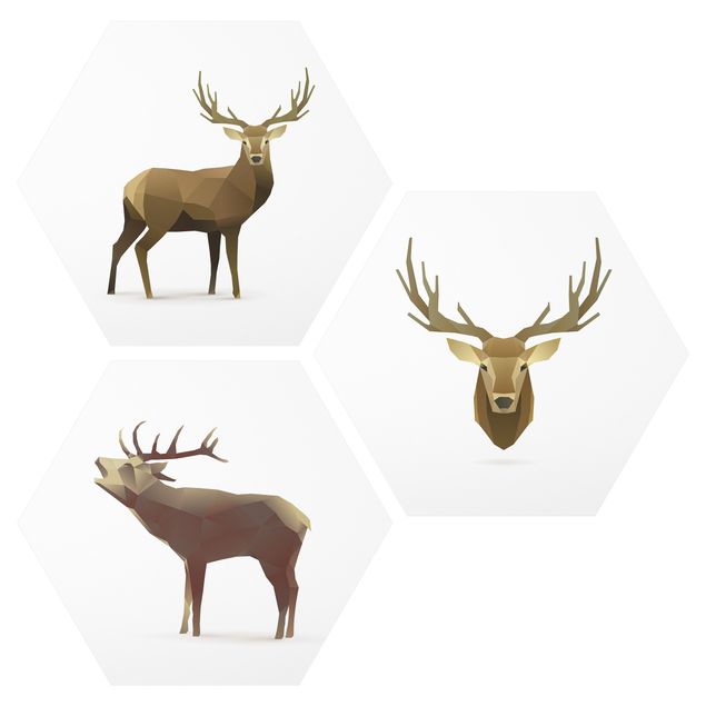 Cuadros de animales Poligon Deer Collection