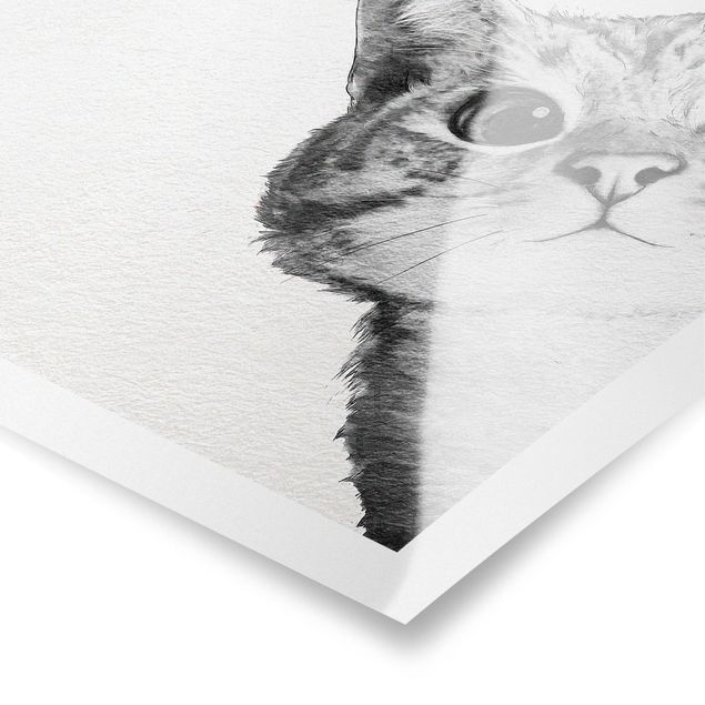 Póster de animales Illustration Cat Drawing Black And White