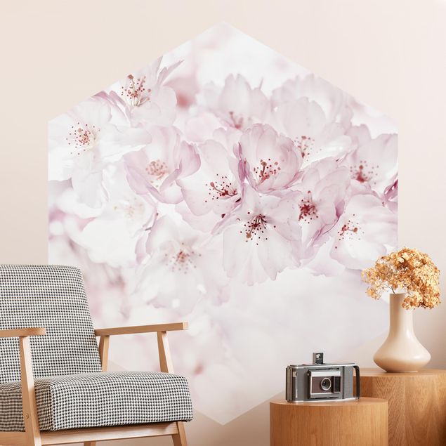 Papel pintado flores A Touch Of Cherry Blossoms