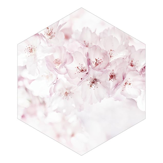 Cuadros de Monika Strigel A Touch Of Cherry Blossoms