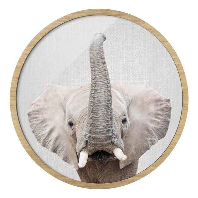 Cuadros redondos modernos Elephant Ewald