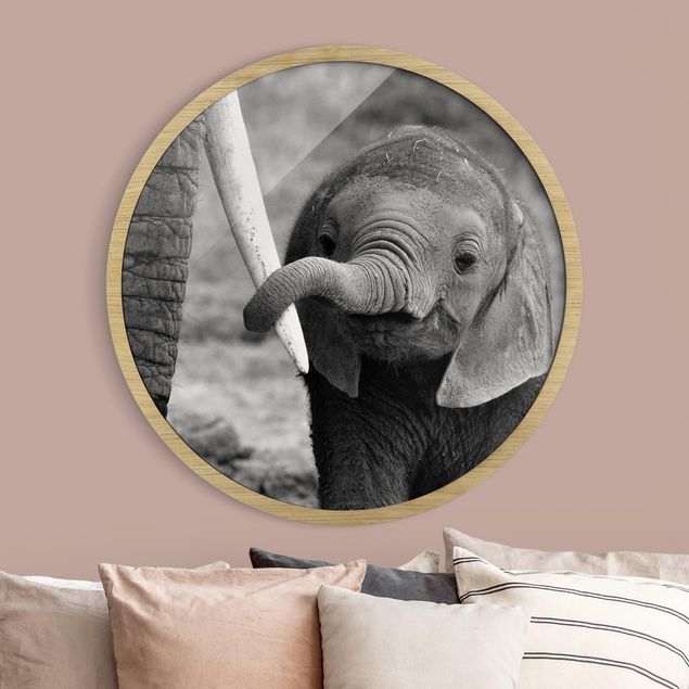 Decoración habitación infantil Baby Elephant