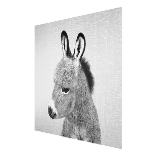 Cuadros de Gal Design Donkey Ernesto Black And White