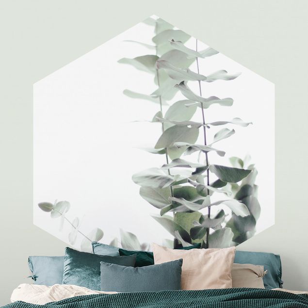 Papel pintado flores Eucalyptus In White Light
