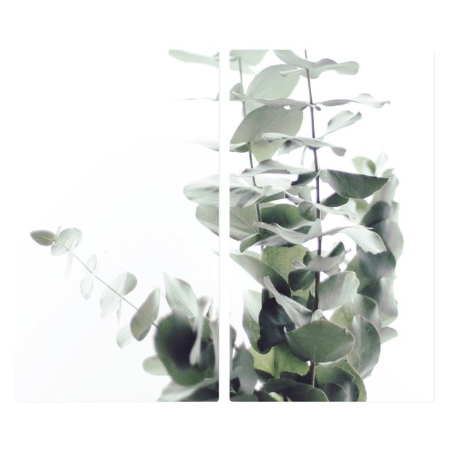 Protector vitroceramica Eucalyptus In White Light