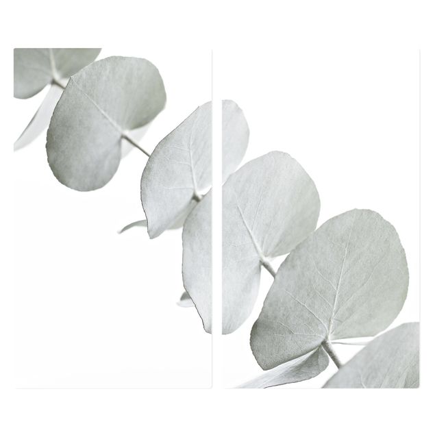 Protector vitroceramica Eucalyptus Branch In White Light
