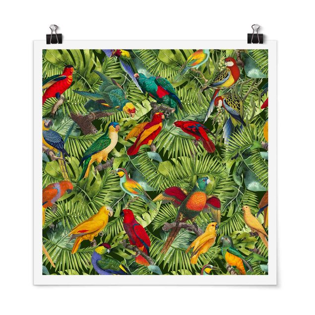 Cuadros de plantas Colourful Collage - Parrots In The Jungle