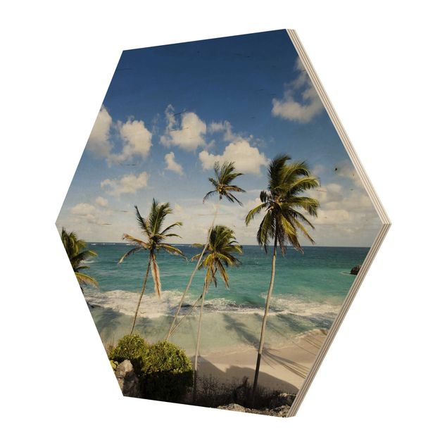Cuadros hexagonales Beach Of Barbados