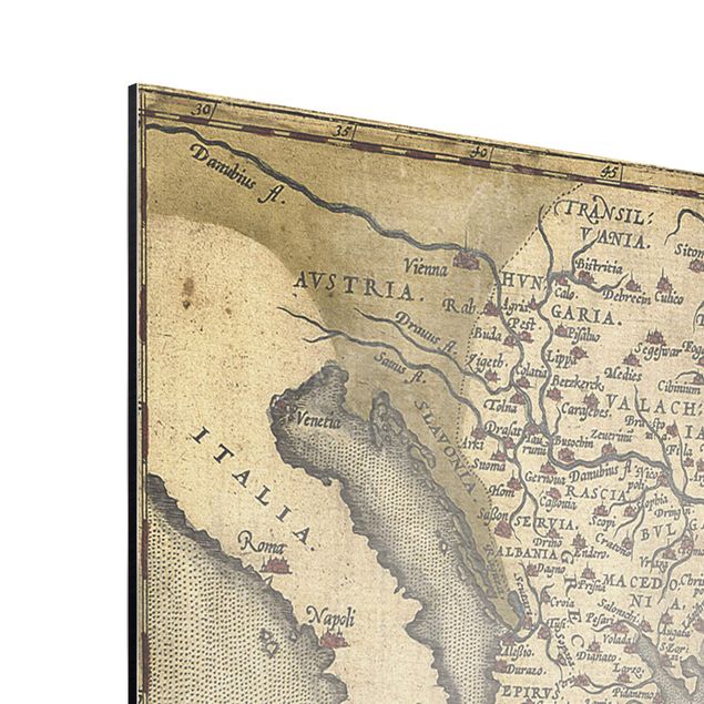 Cuadro de mapamundi Vintage Collage - Palm And World Map