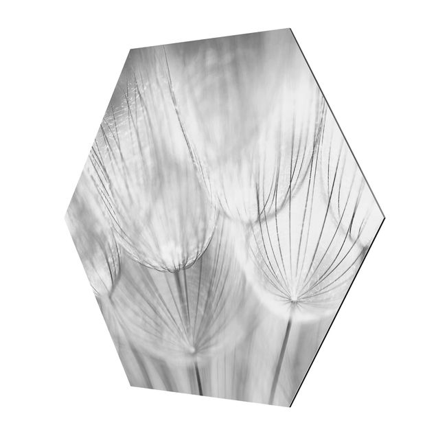 Cuadros modernos Dandelions Macro Shot In Black And White