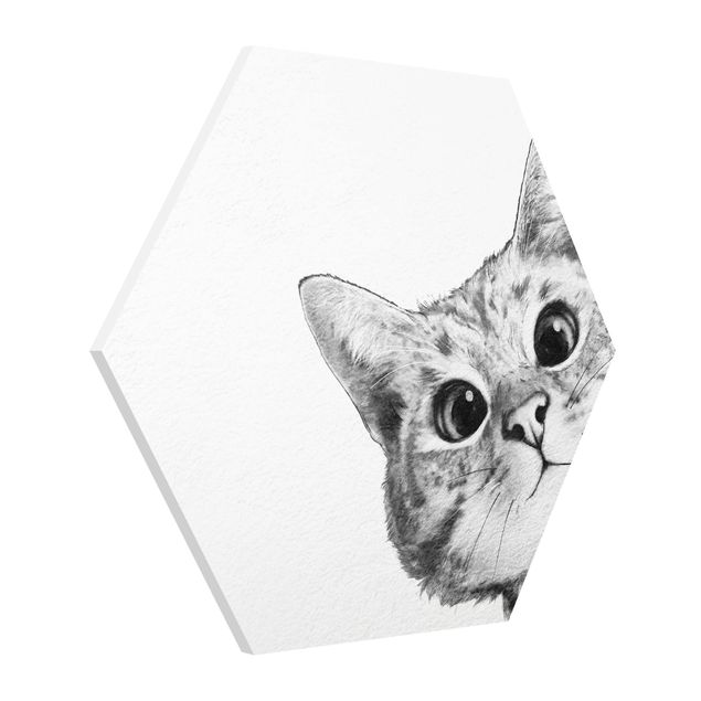 Cuadros famosos Illustration Cat Drawing Black And White