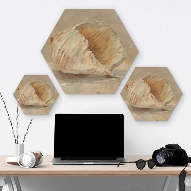 Hexagon Bild Holz - Muschel-Studie IV