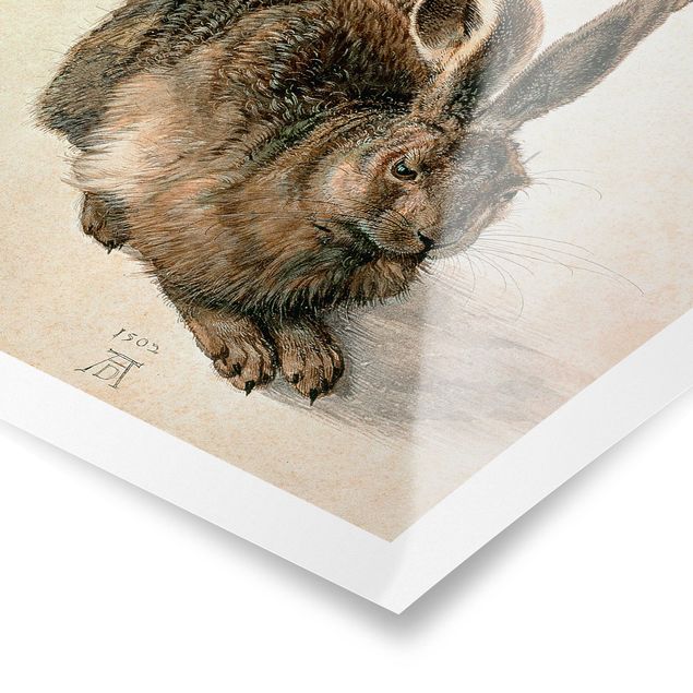 Pósters vintage Albrecht Dürer - Young Hare