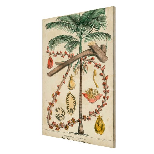 Tableros magnéticos flores Vintage Board Exotic Palms II