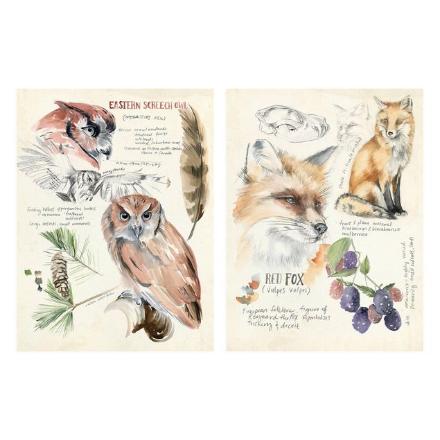 Cuadros decorativos Wilderness Journal Owl And Fox Set I