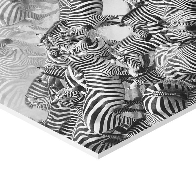 cuadros hexagonales Zebra herd II
