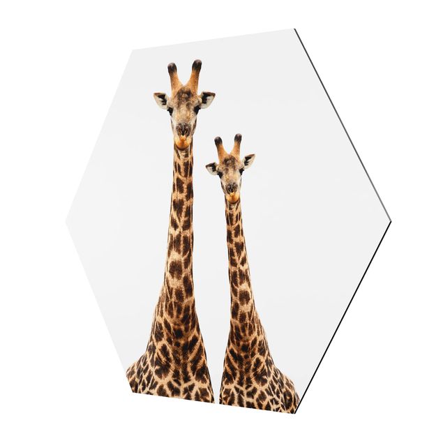Cuadros hexagonales Portait Of Two Giraffes