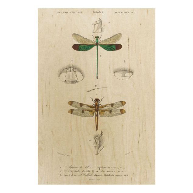 cuadros de madera vintage Vintage Board Dragonflies