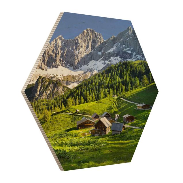 Cuadros Mirau Styria Alpine Meadow