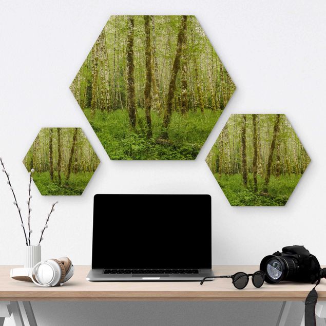 Hexagon Bild Holz - Hoh Rainforest Olympic National Park