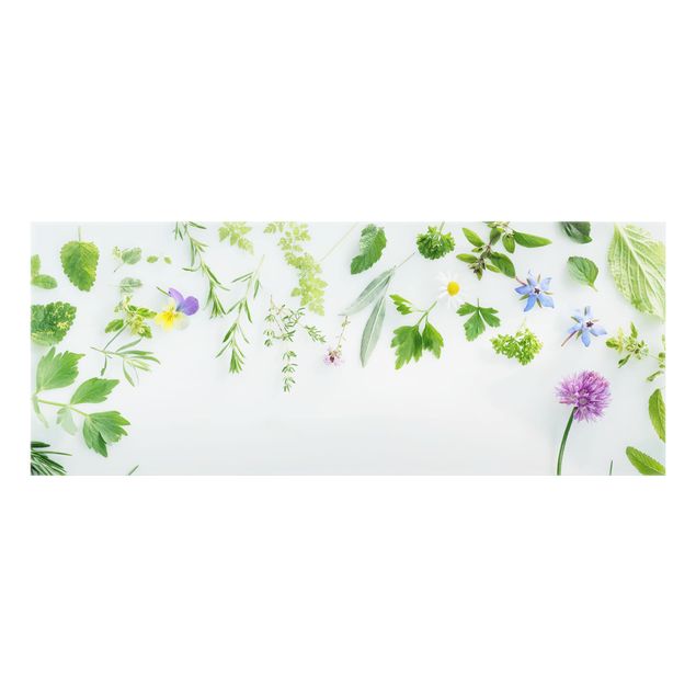 panel-antisalpicaduras-cocina Herbs And Flowers