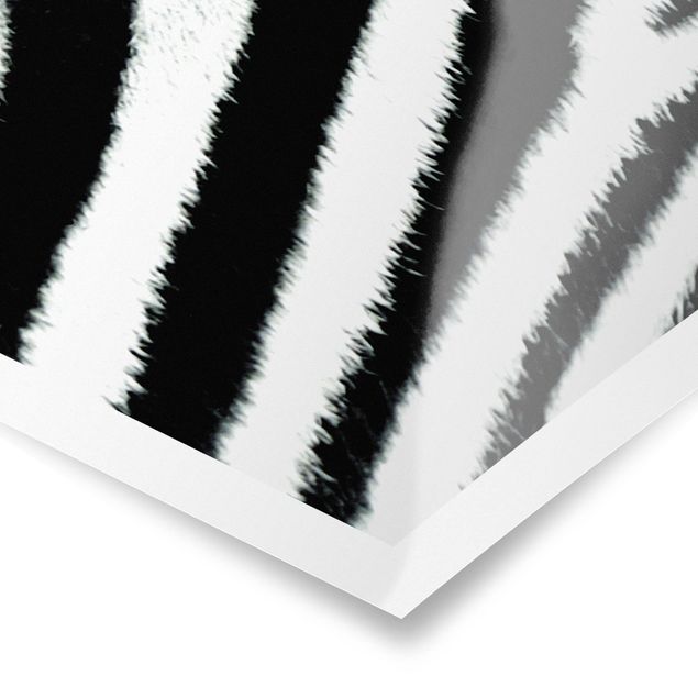 Cuadros a blanco y negro Zebra Crossing