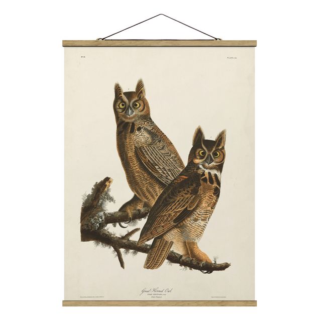 Cuadros de animales Vintage Board Two Large Owls