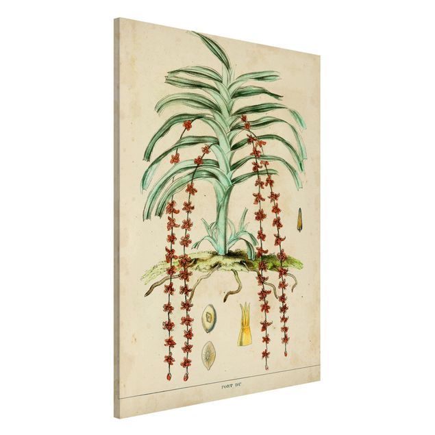 Decoración de cocinas Vintage Board Exotic Palms IV