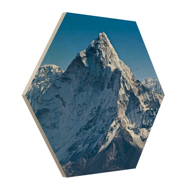 cuadro hexagonal The Himalayas