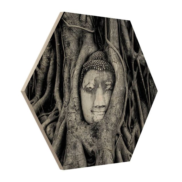 cuadro hexagonal Buddha In Ayutthaya Lined From Tree Roots In Black And White