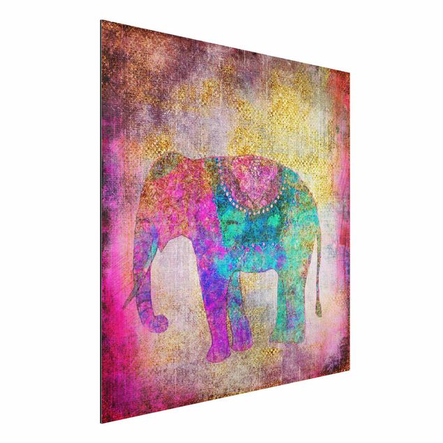 Decoración en la cocina Colourful Collage - Indian Elephant