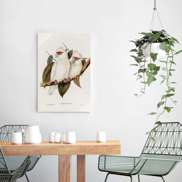 Cuadros de plantas Vintage Illustration White Cockatoo