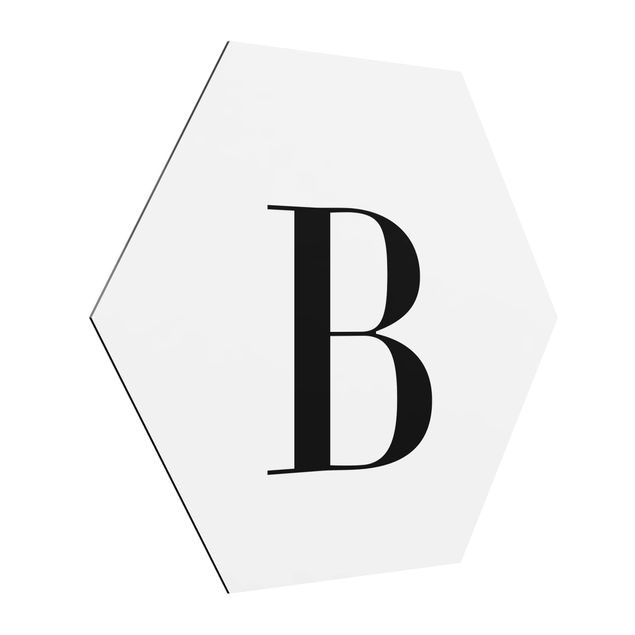 Cuadros modernos y elegantes Letter Serif White B