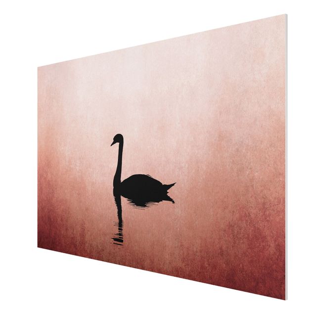 Cuadros famosos Swan In Sunset