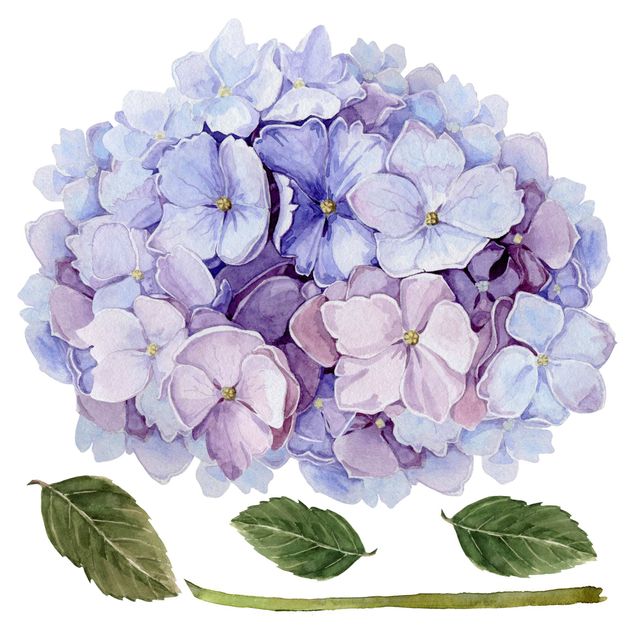Vinilos decorativos pared Watercolour Hydrangea Blue Bloom XXL