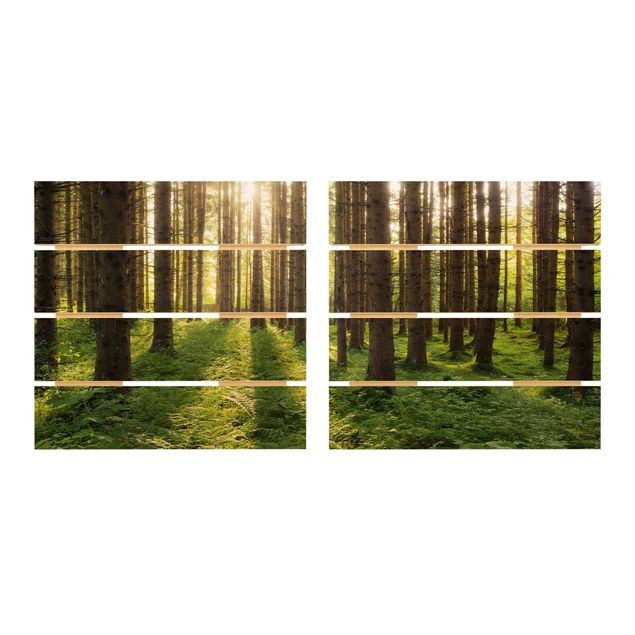 Cuadros modernos Sun Rays In Green Forest