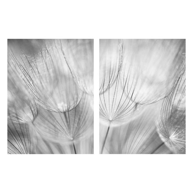 Lienzos en blanco y negro Dandelions Macro Shot In Black And White