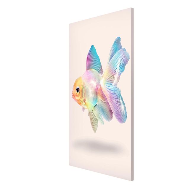 Tableros magnéticos animales Fish In Pastel