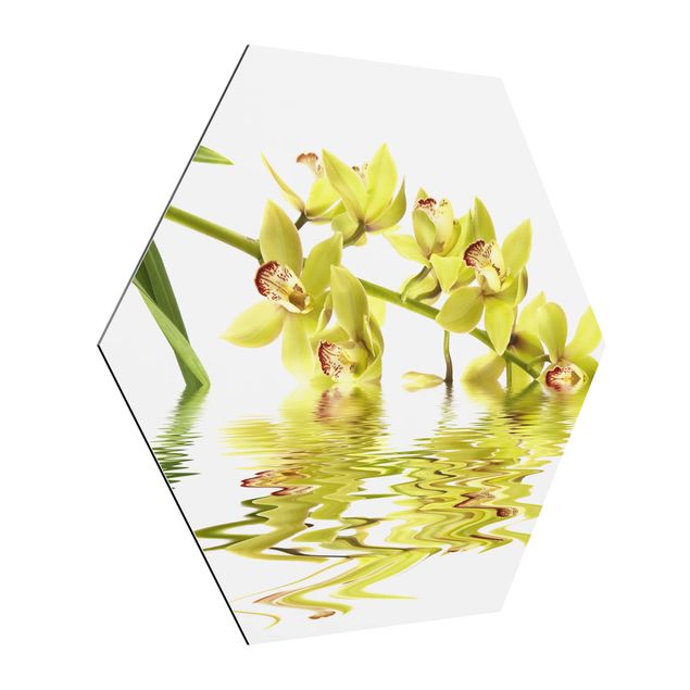 Cuadros de flores Elegant Orchid Waters