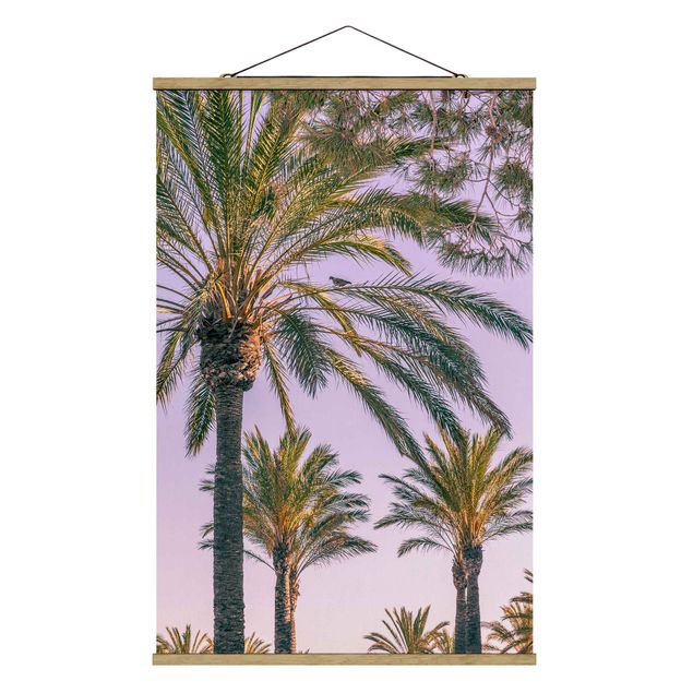 Cuadros de flores Palm Trees At Sunset