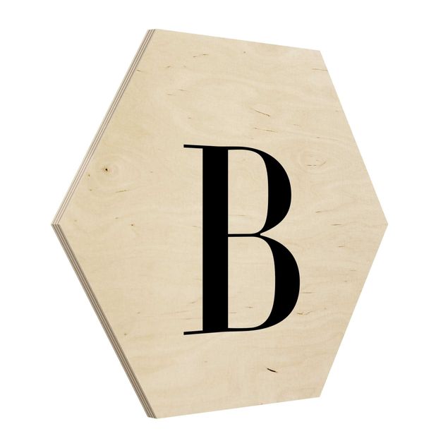 cuadro hexagonal Letter Serif White B