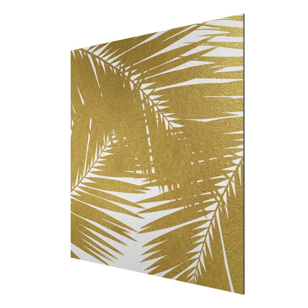 Cuadros plantas View Through Golden Palm Leaves